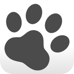 pet