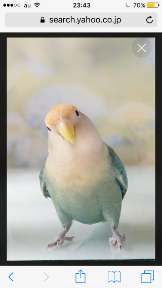 546_267887_20210829204959PM.PNG