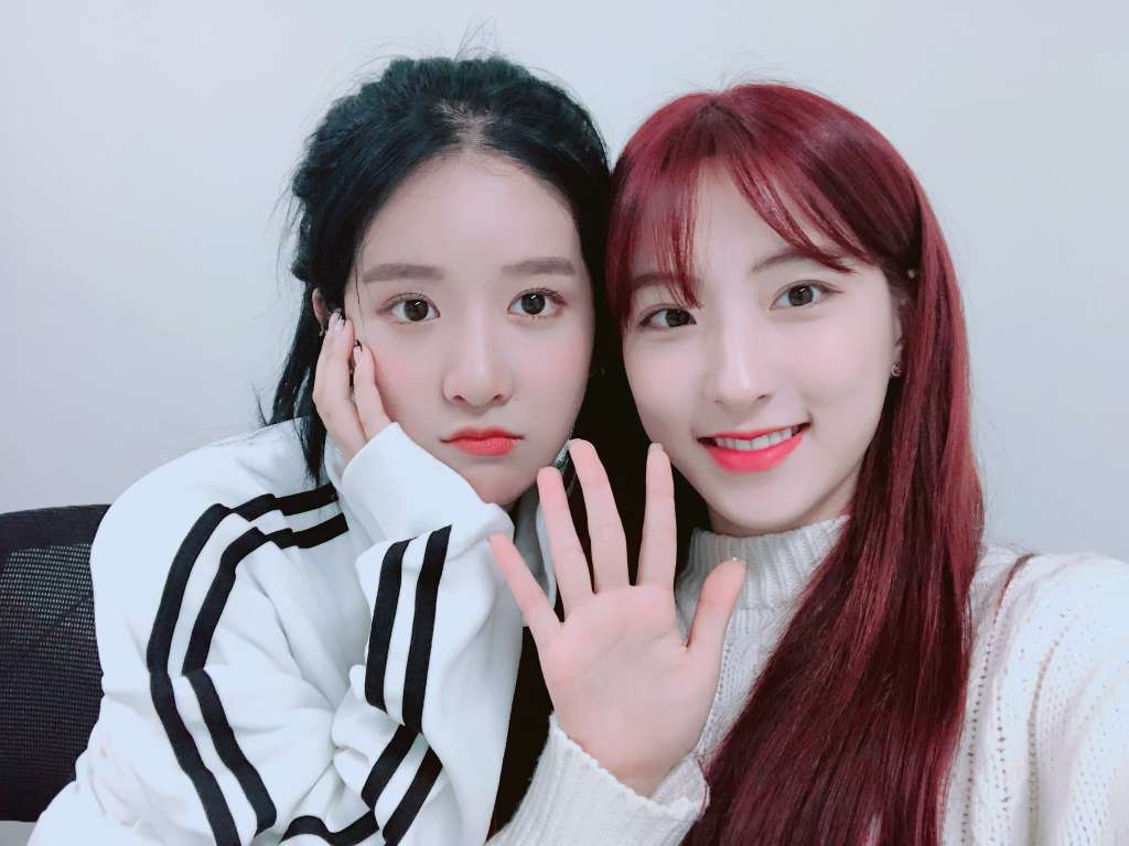 546_29560_20190317115353AM.jpeg