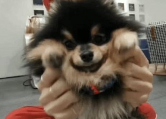 546_30189_20190506160349PM.png