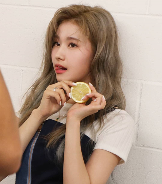 547_29919_20190429191939PM.png