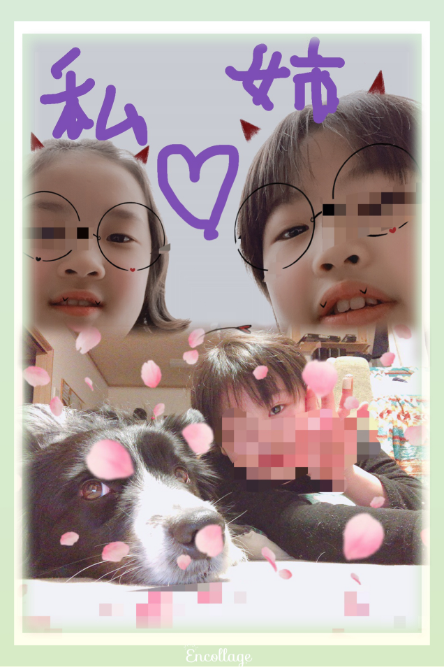 547_33817_20200405001200AM.png