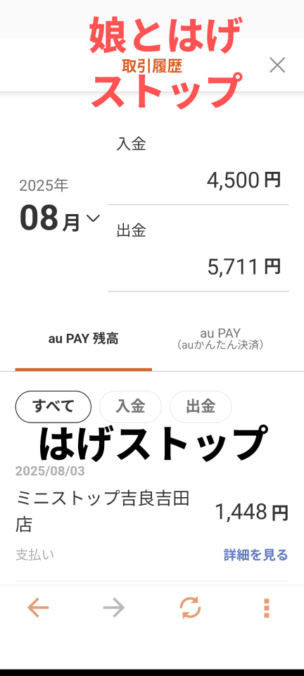 738_13366928_20250803120230PM.png
