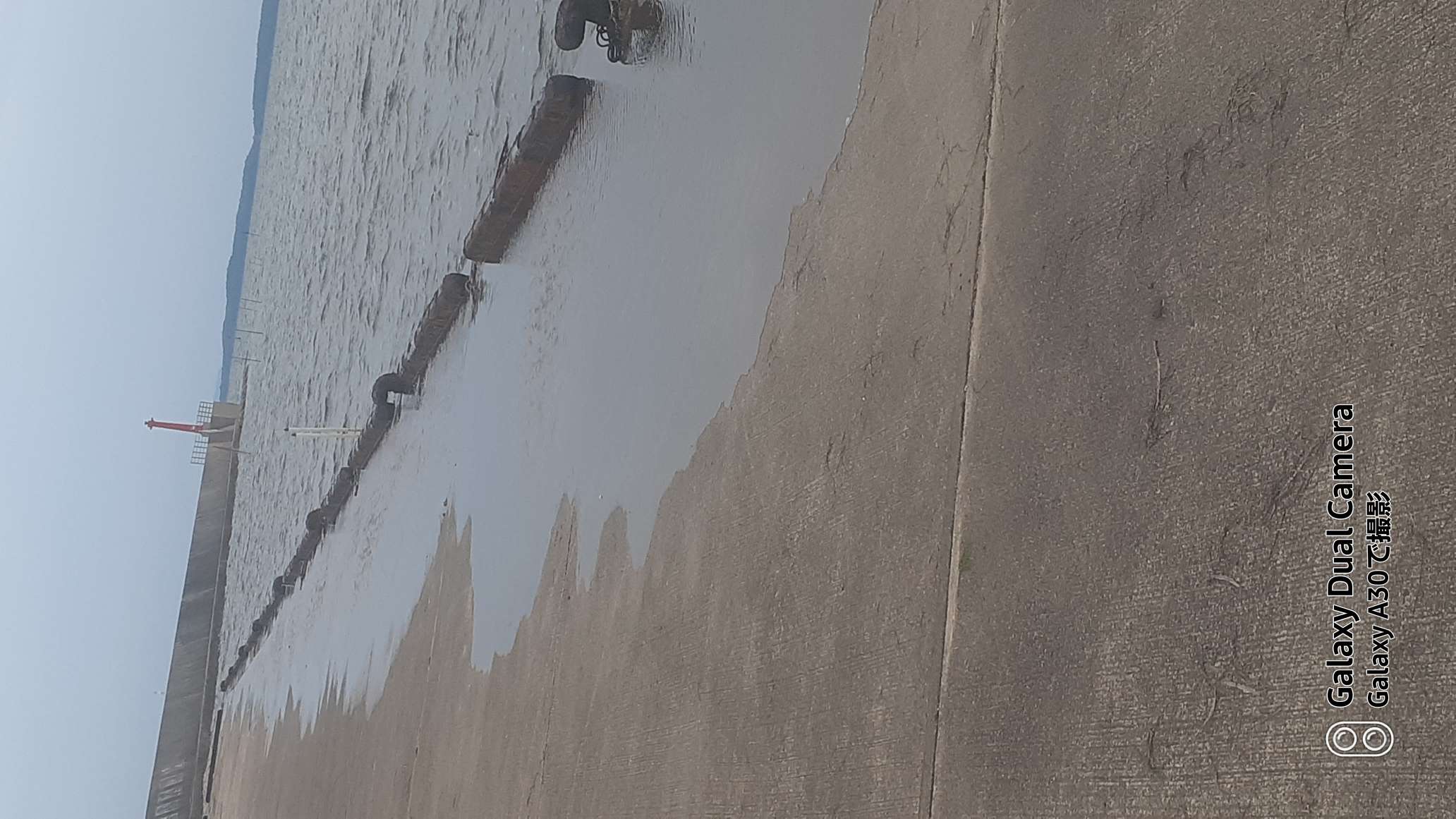 738_13367026_20250809181145PM.jpg