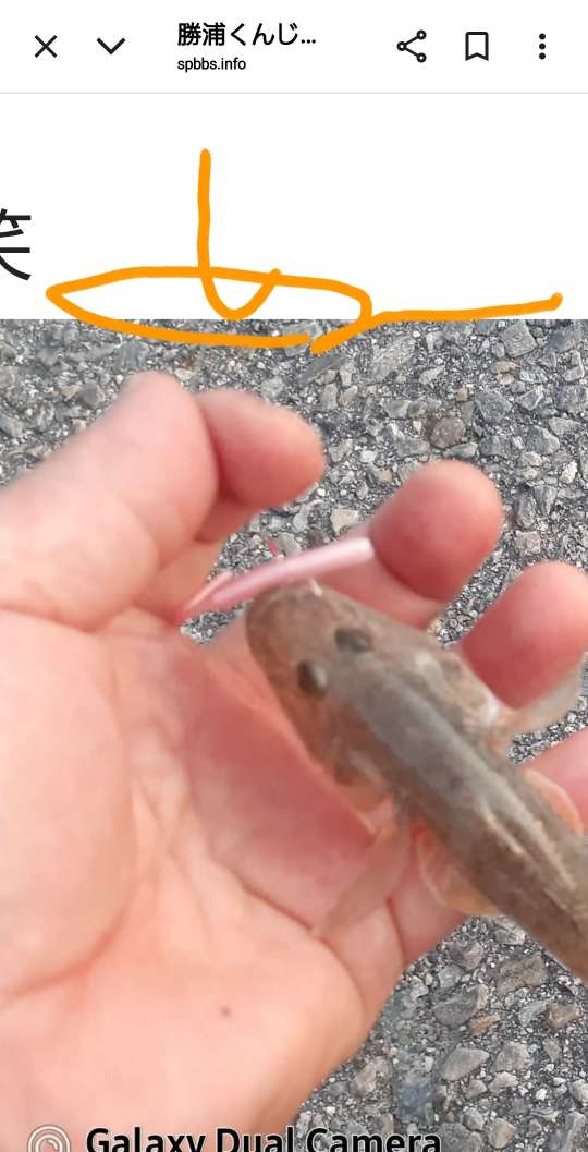 738_13367026_20250816195158PM.jpg
