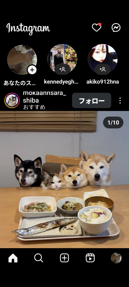 738_13367159_20251001163639PM.png
