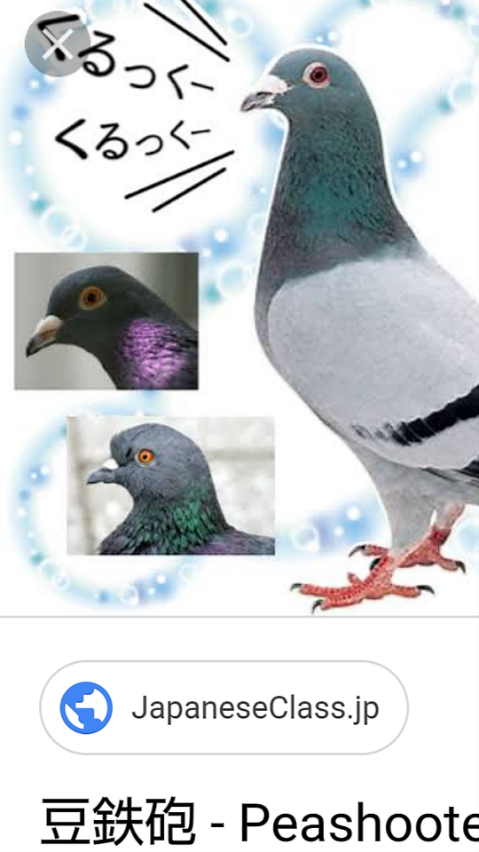 738_262307_20210329190431PM.png