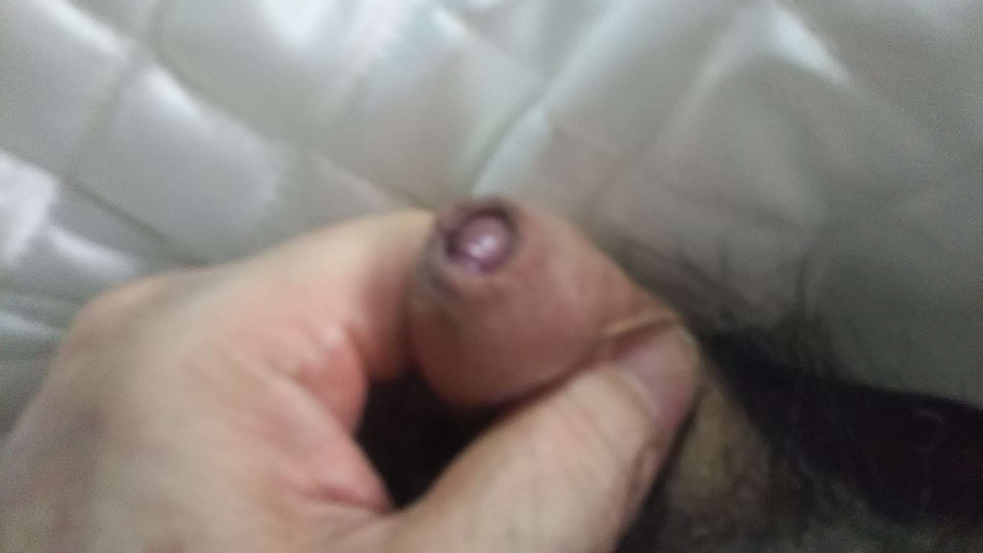 738_267824_20210715125255PM.JPG