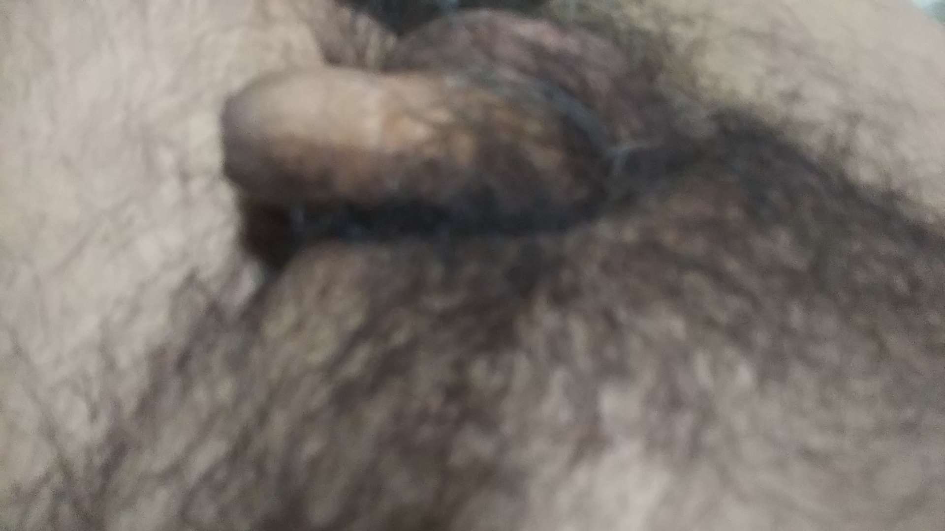 738_268056_20210909171359PM.JPG