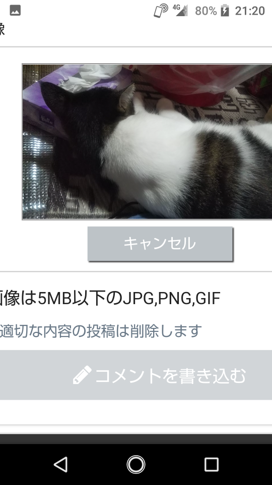 738_268158_20210925213723PM.png
