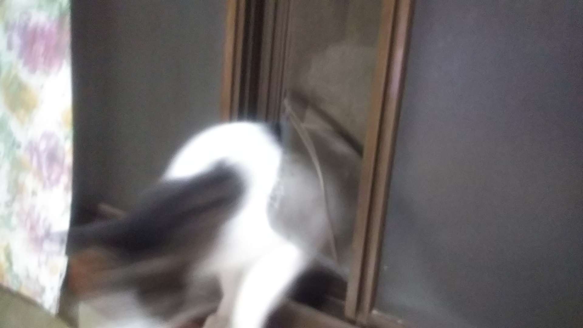 738_268213_20211012225657PM.JPG