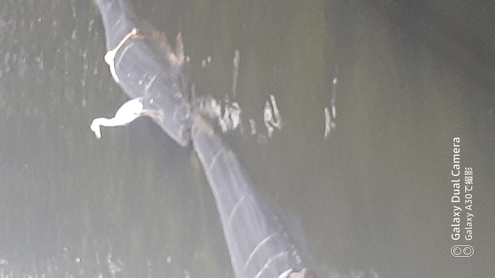 738_268249_20211016185054PM.jpg