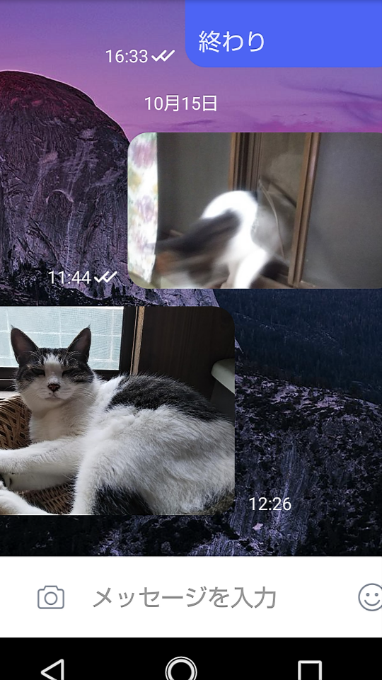 738_268249_20211017222915PM.png