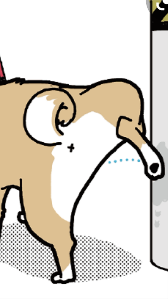 738_270529_20220204195119PM.png