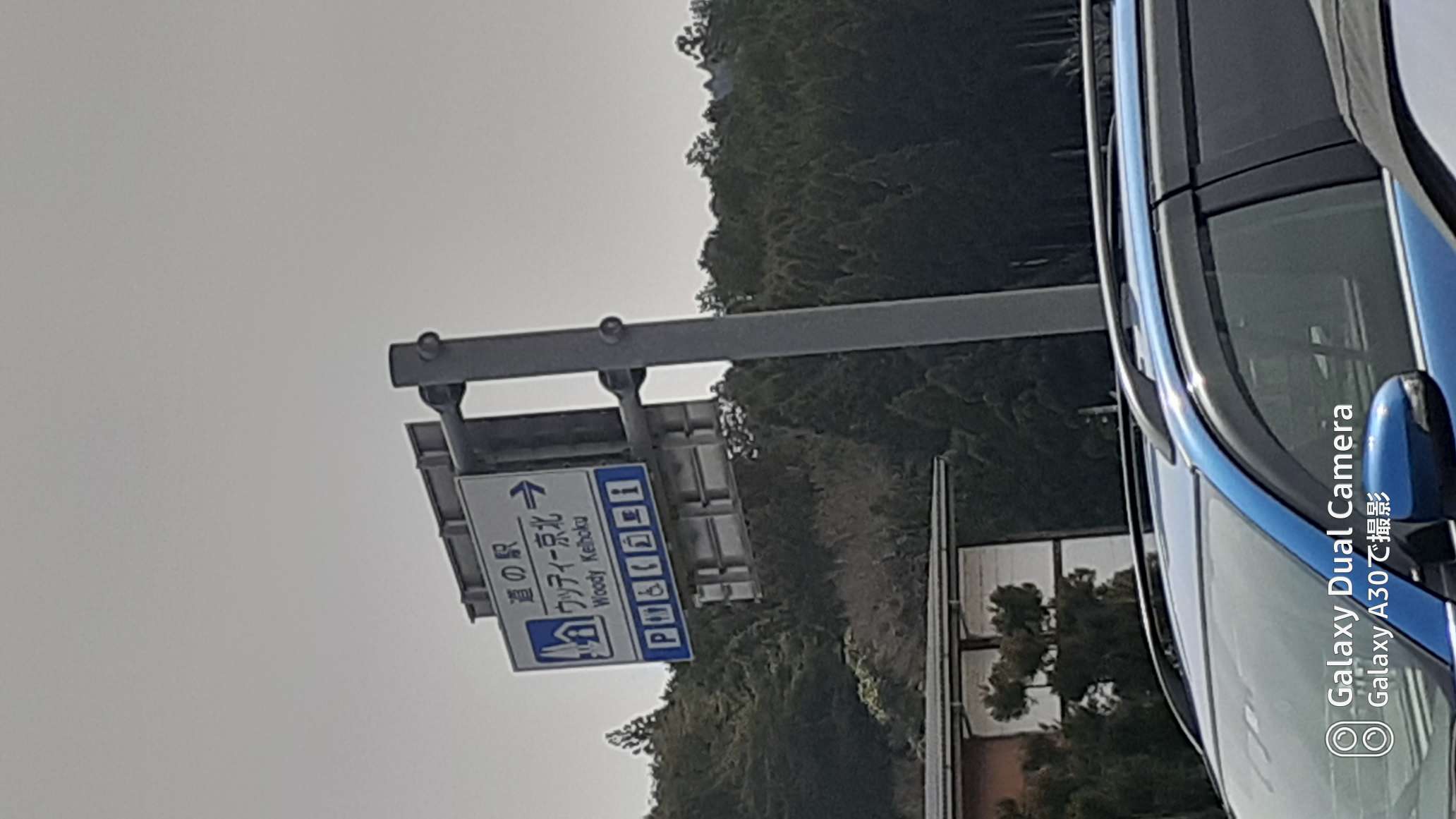 738_273761_20220402104311AM.jpg