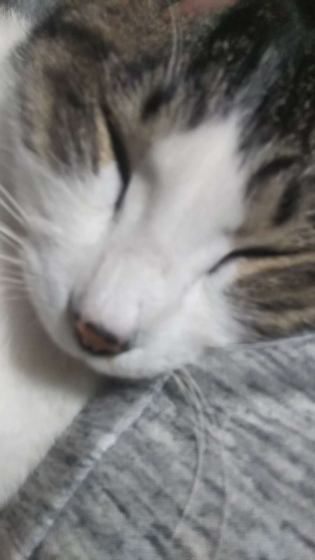 738_34043_20200529232529PM.JPG