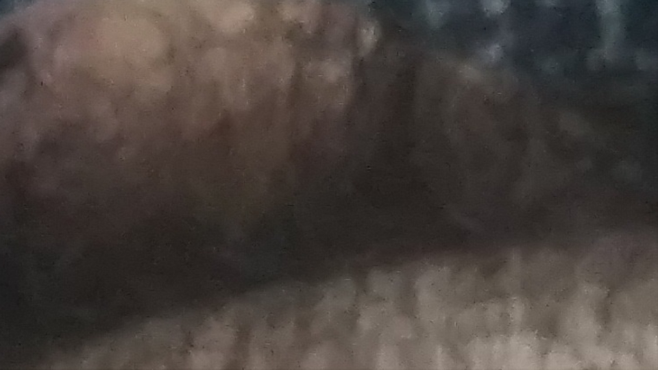 738_36077_20200921202105PM.png