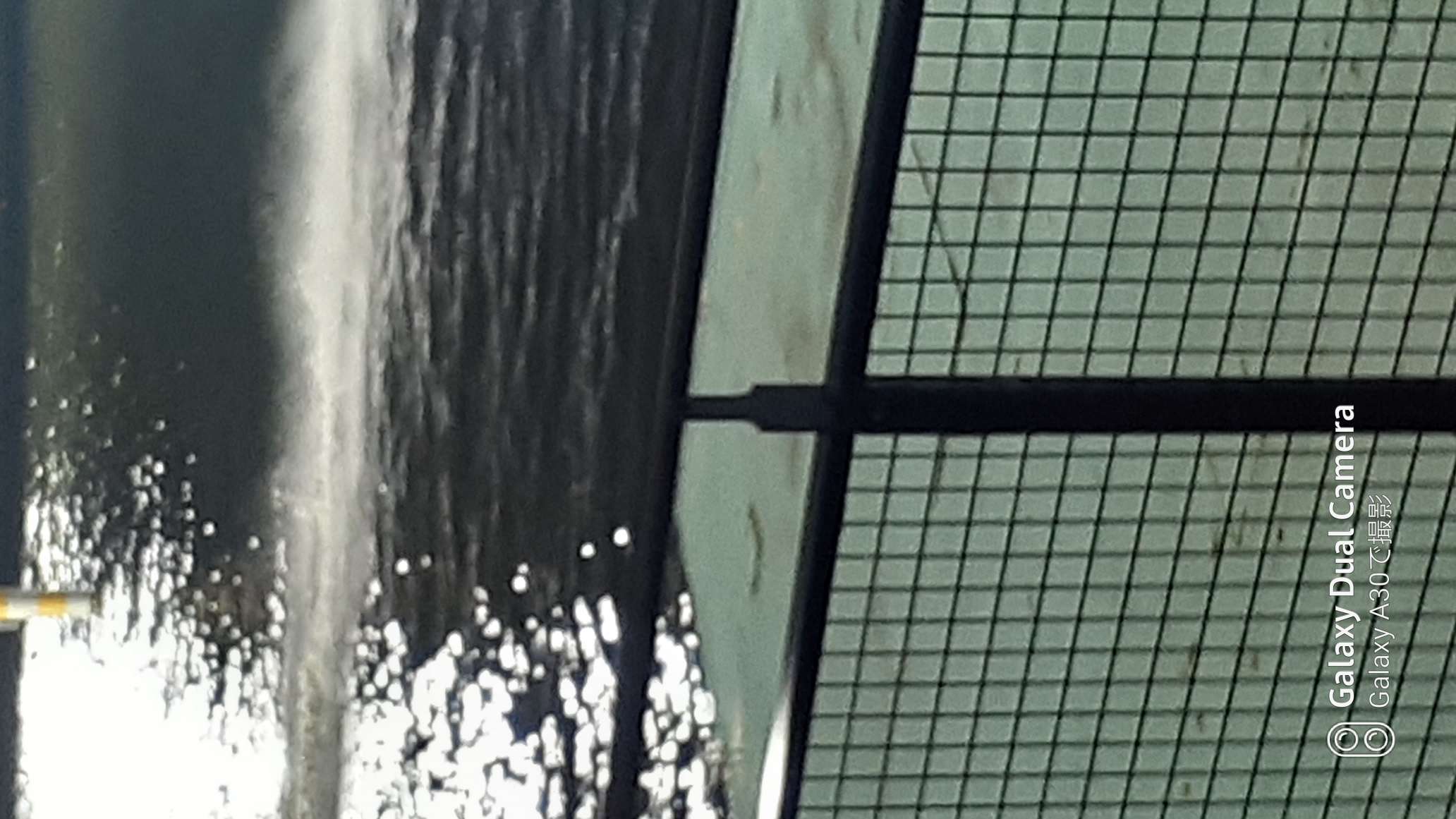 738_38149_20210207190334PM.jpg