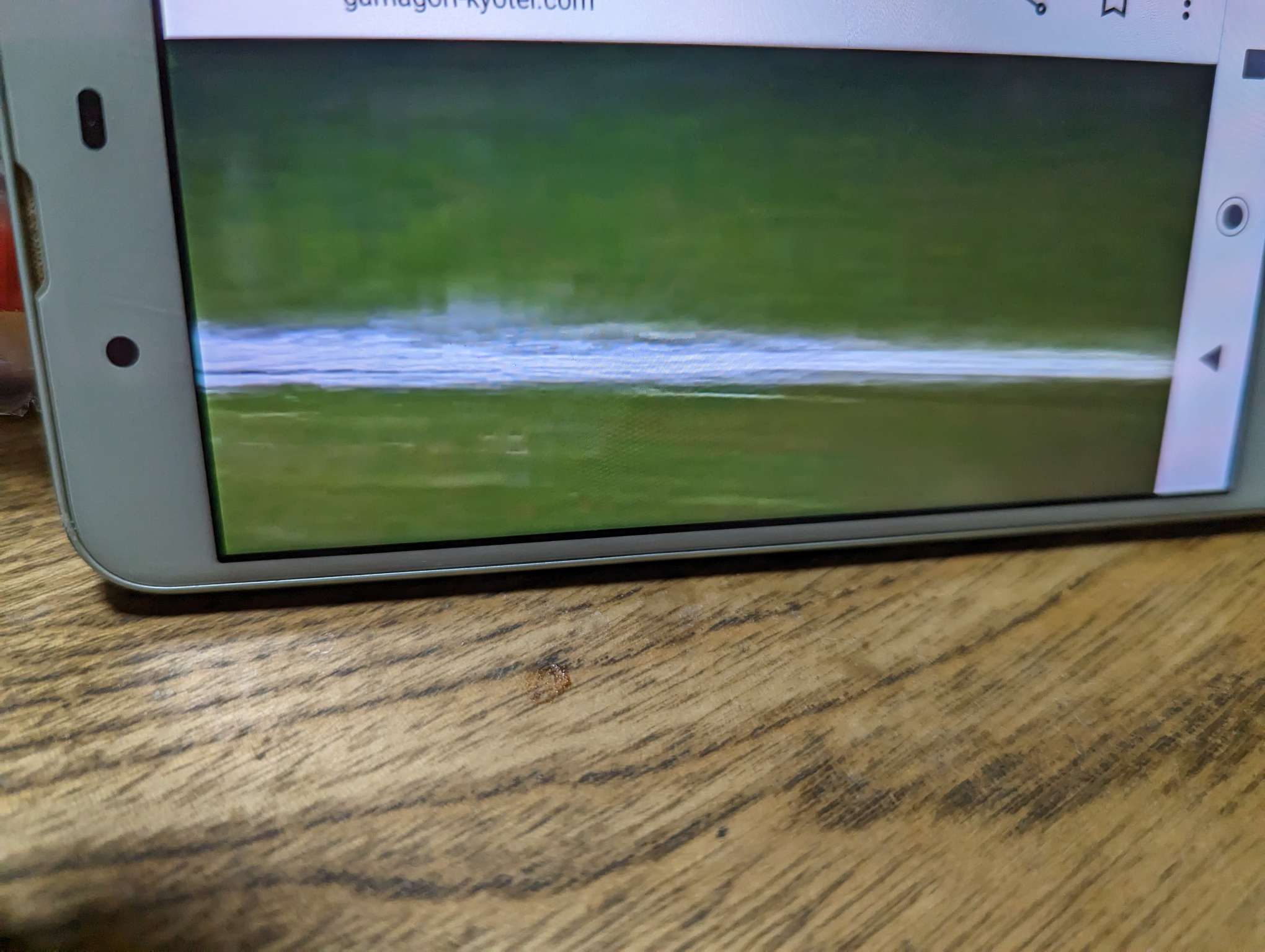 738_401044_20230130204523PM.jpg
