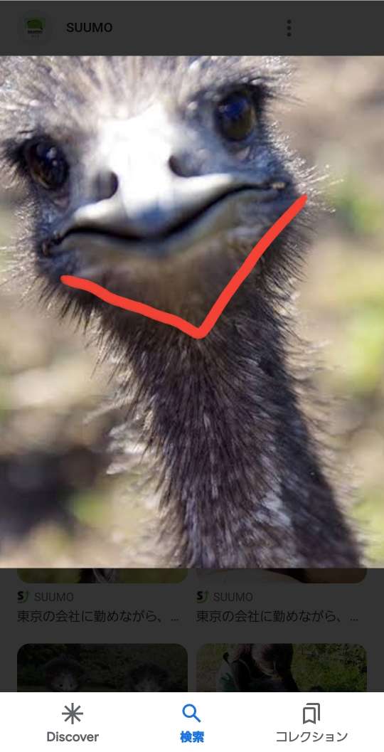738_412396_20230410005155AM.jpg