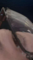 738_412946_20230528193701PM.png