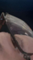 738_413525_20230707101855AM.png
