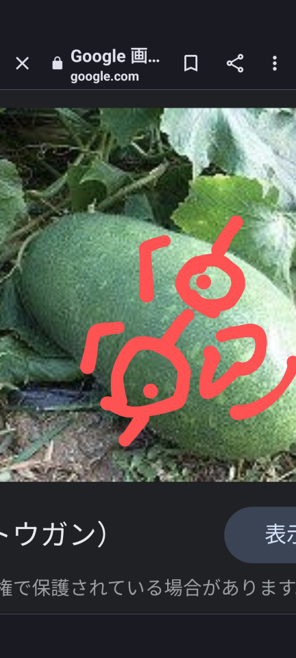 738_413525_20230708192505PM.png