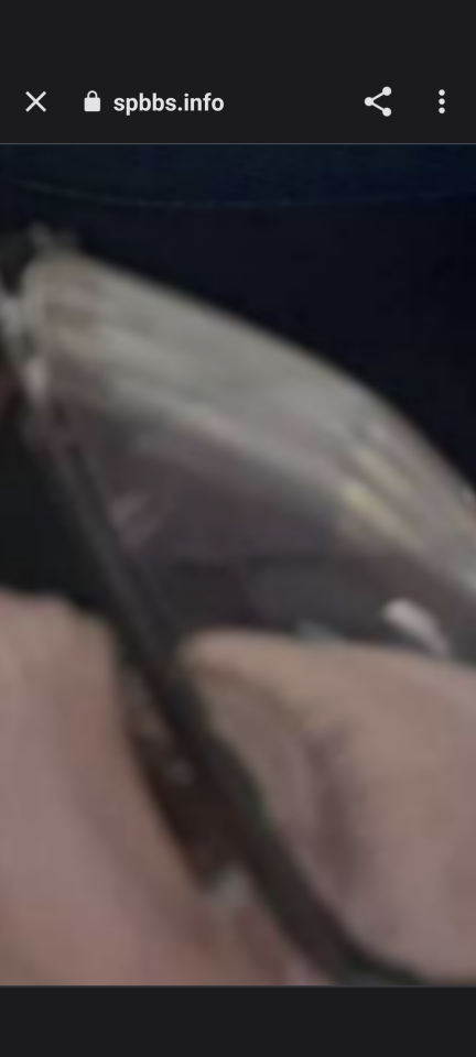 738_414368_20230909231842PM.png