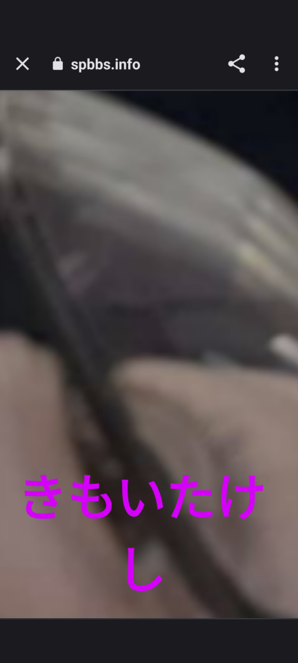 738_414559_20230910163924PM.png