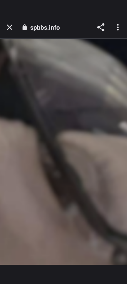738_414877_20231001104032AM.png