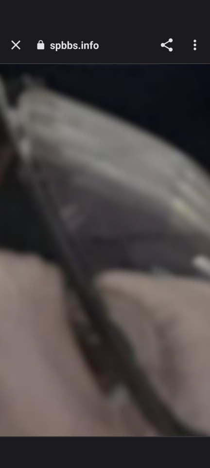 738_415040_20231011104927AM.png