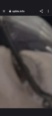 738_415527_20231106075830AM.png