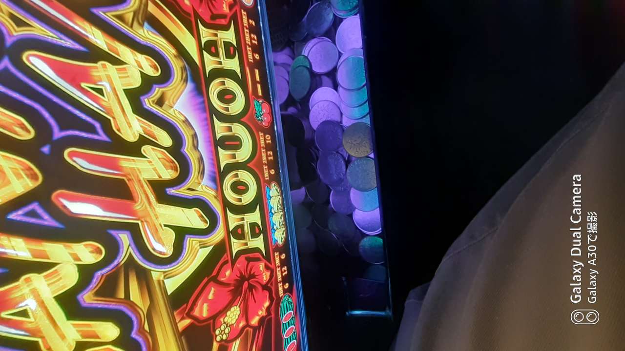 738_415527_20231112174306PM.jpg