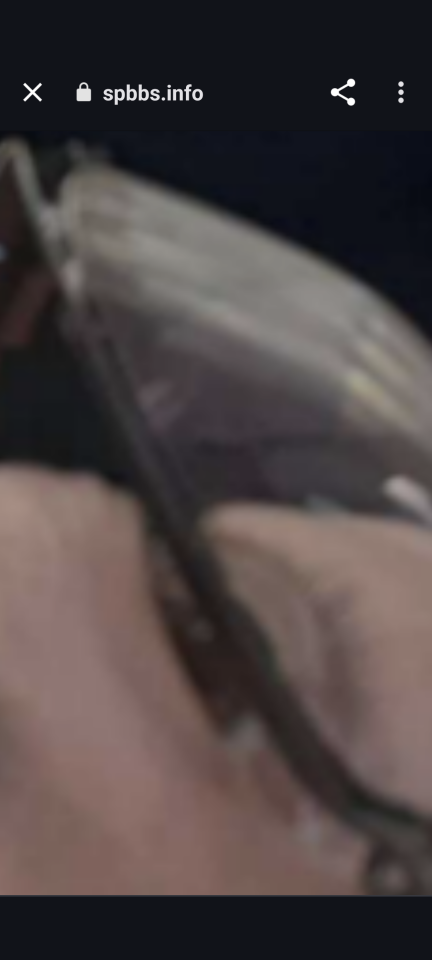 738_415975_20231130211656PM.png