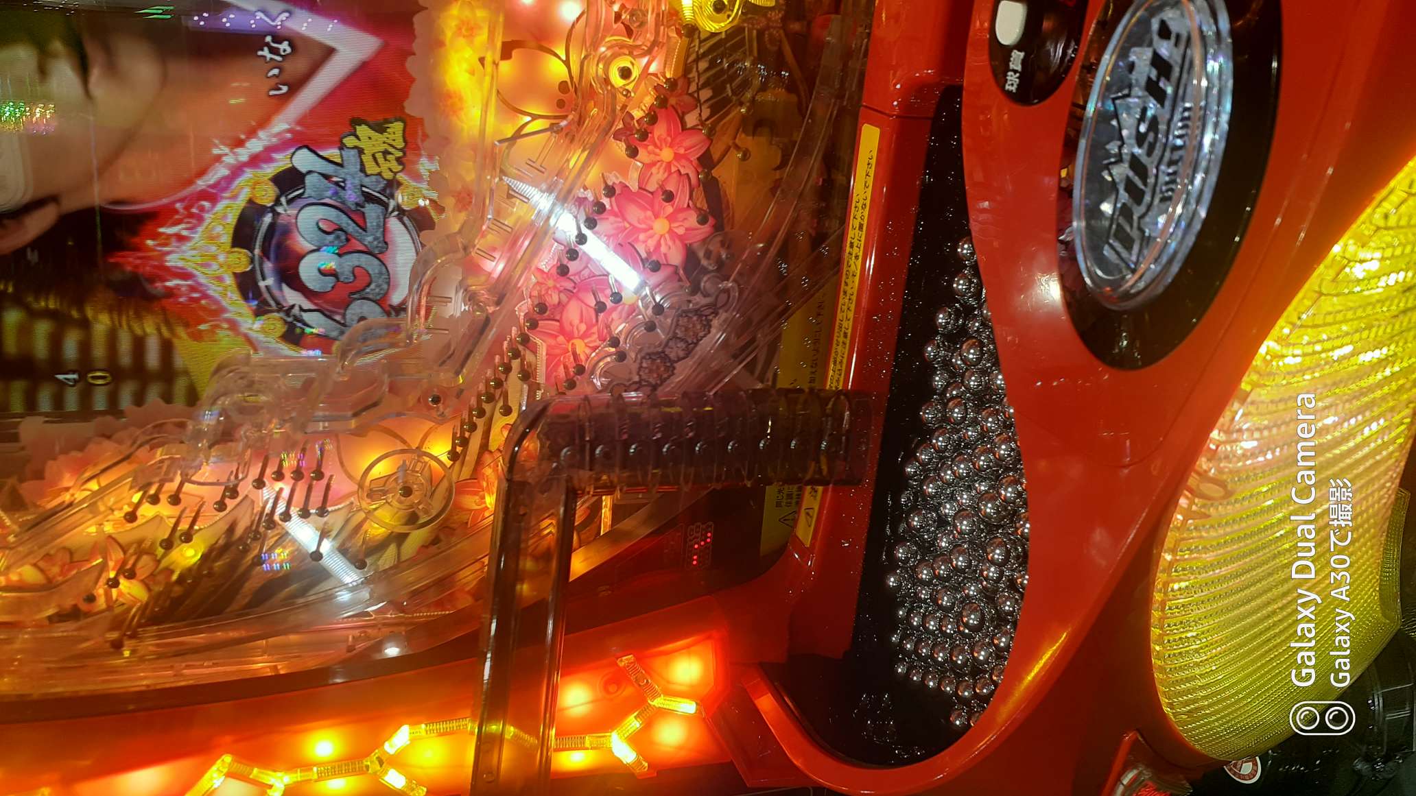 738_416133_20231210140229PM.jpg