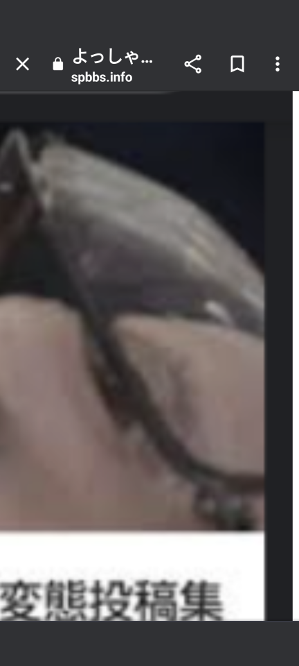 738_416571_20240202195018PM.png