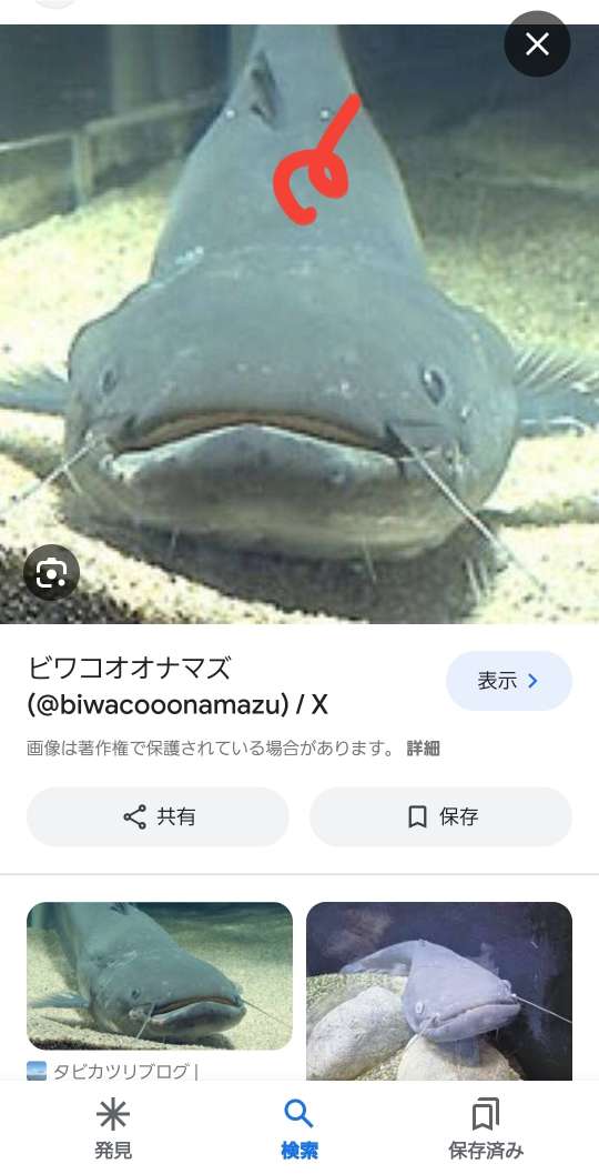 738_416670_20240225175009PM.jpg