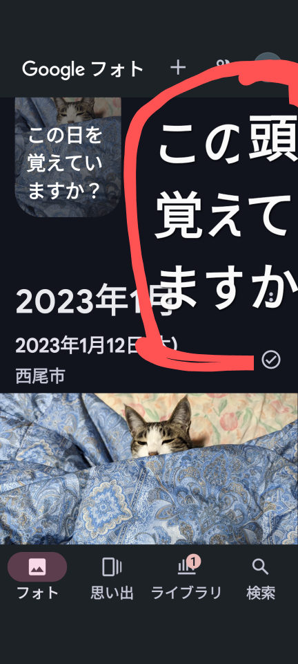 738_417631_20240523211109PM.png