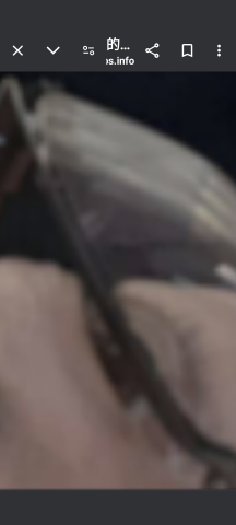 738_417846_20240601155304PM.png