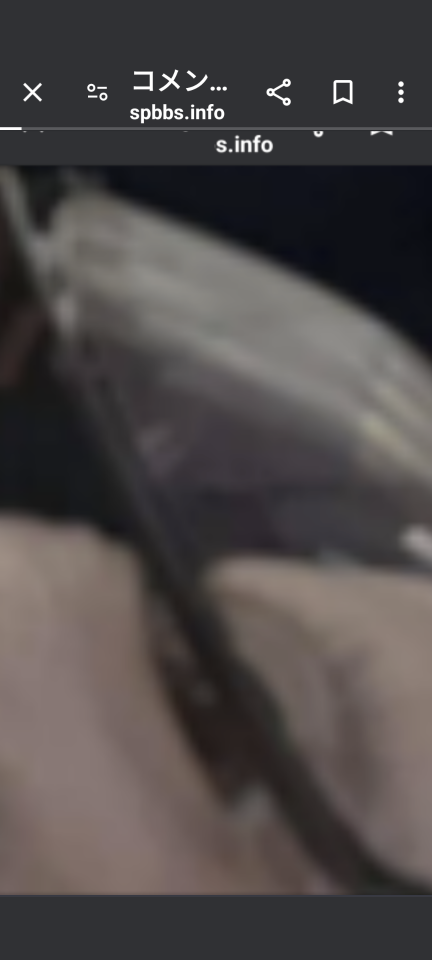 738_417846_20240607170148PM.png