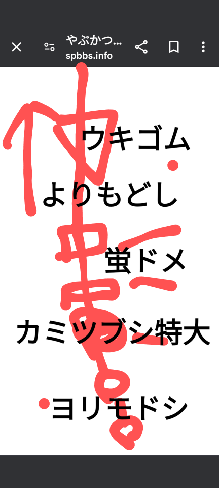 738_419278_20240929203314PM.png