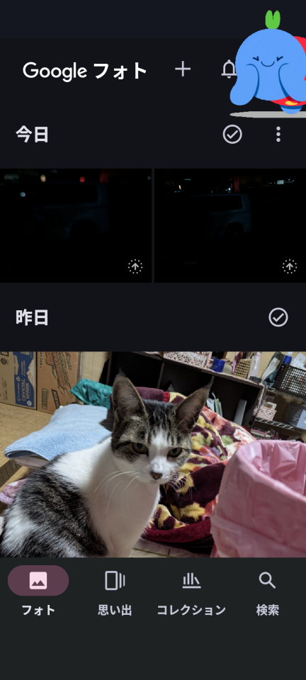 738_420199_20250220214130PM.png