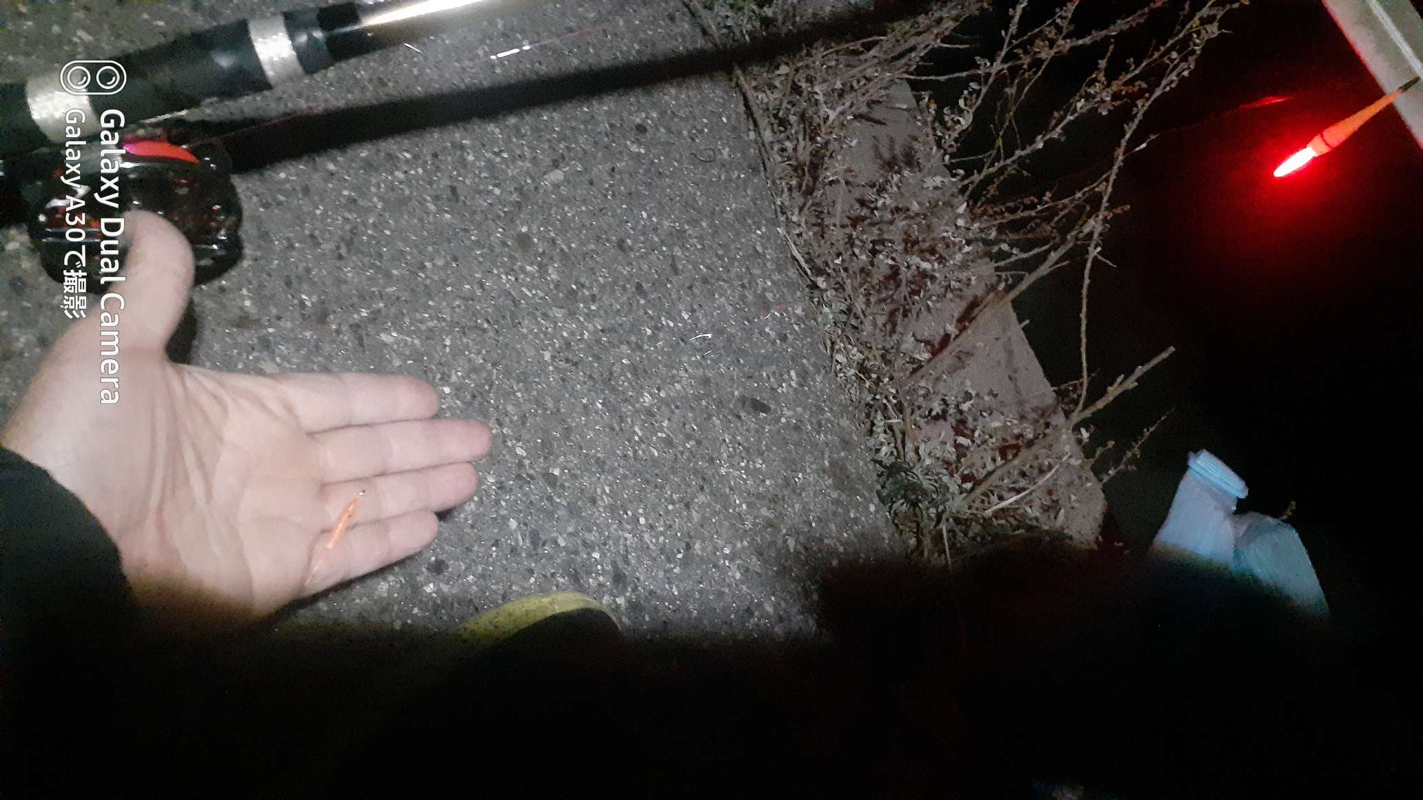 738_421888_20250302195408PM.jpg